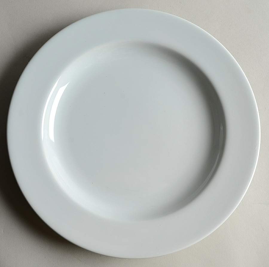 Classic Powder Blue Dinner Plate by Martha Stewart-1