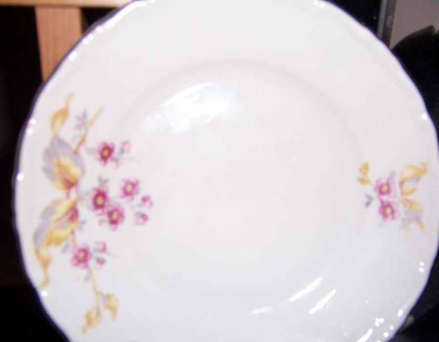 MIT297 Dinner Plate by Mitterteich-1