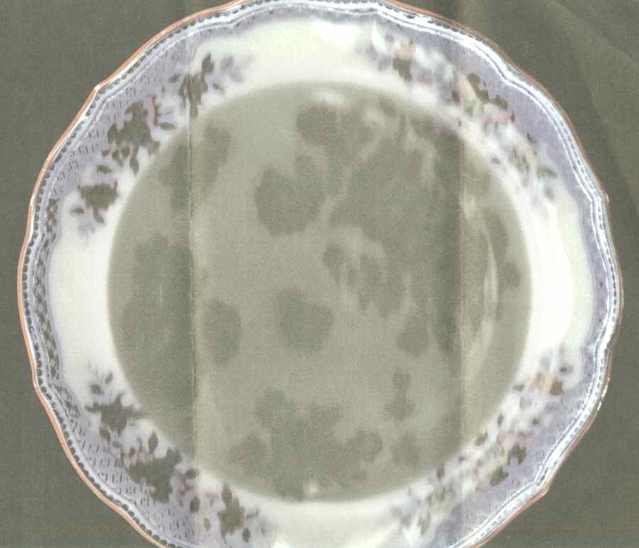 Madras (Multicolor) Salad Plate by Minton-1