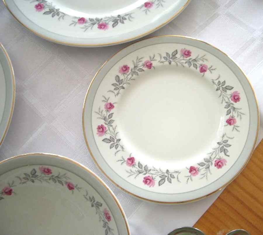 Royal Bride (Smooth, Platinum Trim) Dinner Plate by Myott Staffordshire-1