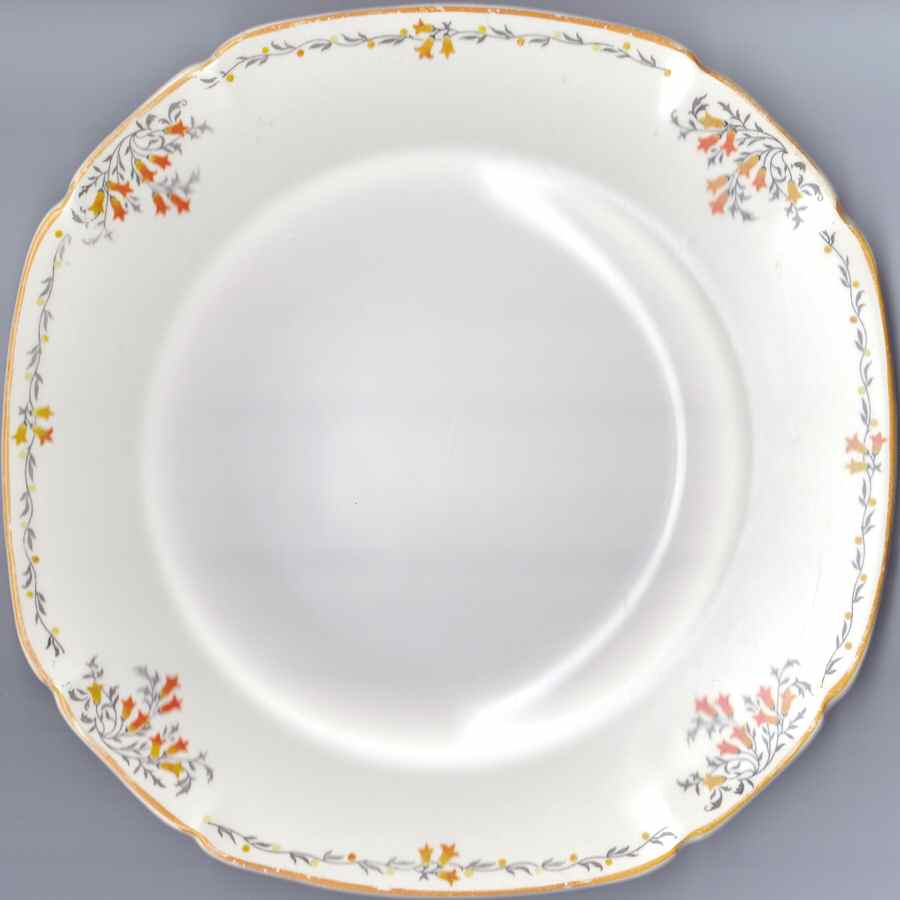 MAD235 Dinner Plate by John Maddock & Sons-1