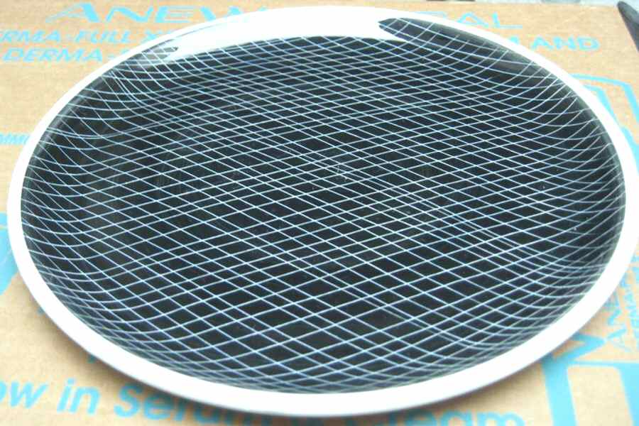 506-PF61 Dinner Plate by Mancioli-1