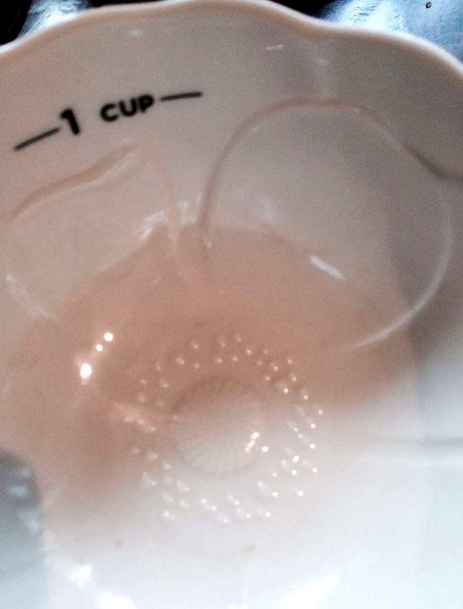 Figural Anemone Measuring Cup by Martha Stewart-1