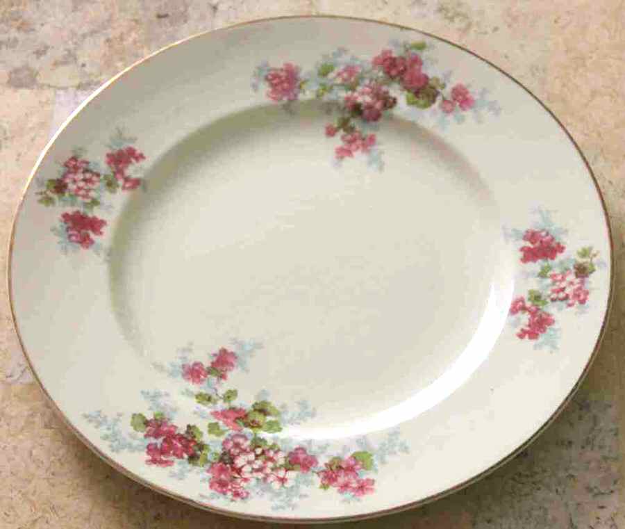 MEA352 Dinner Plate by Alfred Meakin-1
