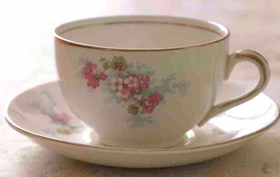 MEA352 Flat Cup & Saucer Set by Alfred Meakin-1