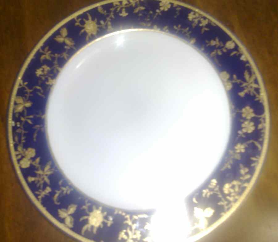 M283 Dinner Plate by Minton-1