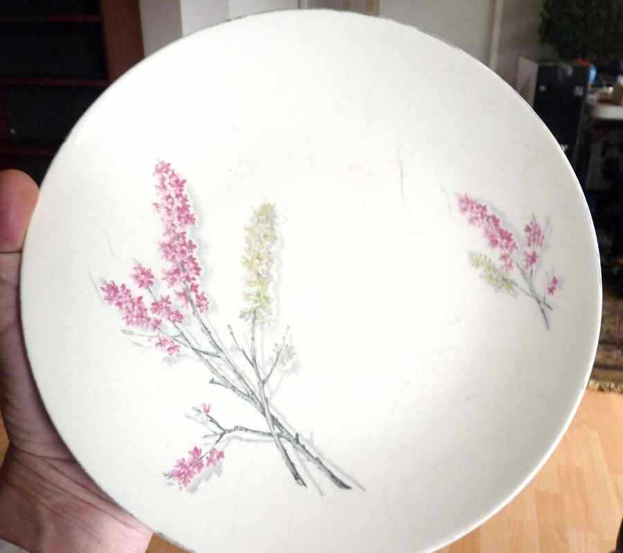 Daphne Dinner Plate by J & G Meakin-1