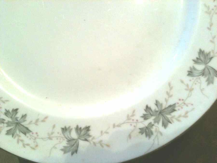 Autumn Haze Dinner Plate by Milady-1