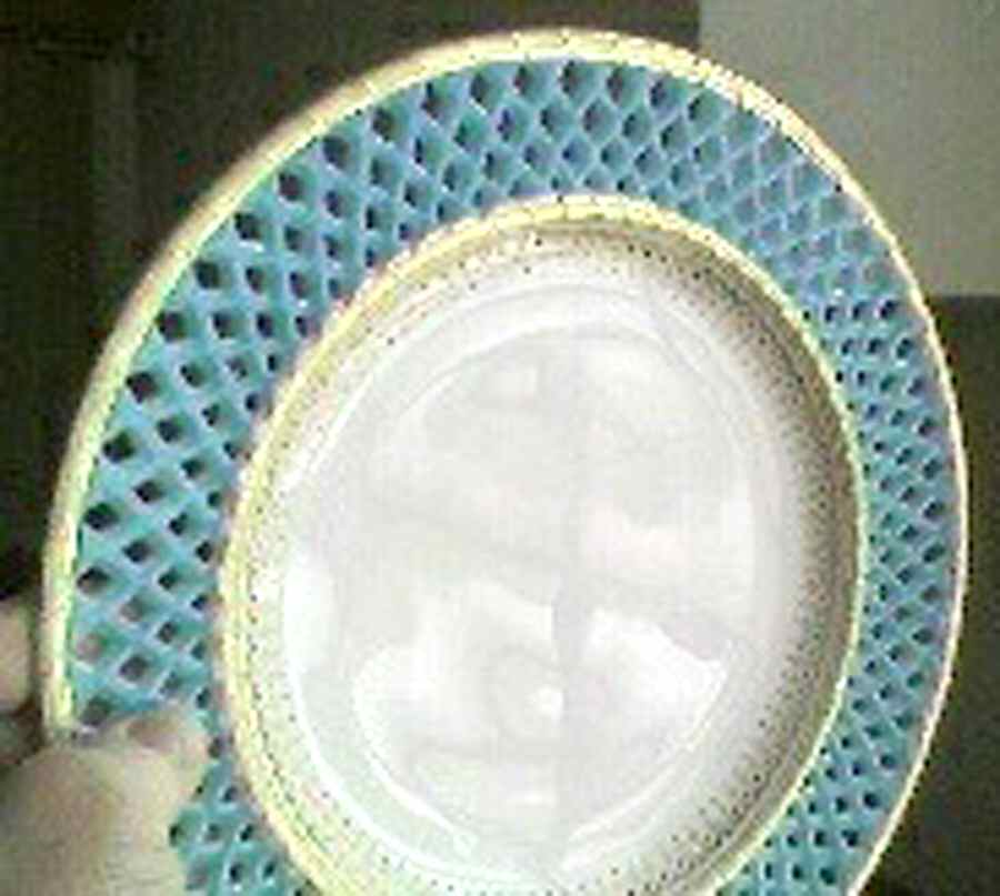 M282 Dinner Plate by Minton-1