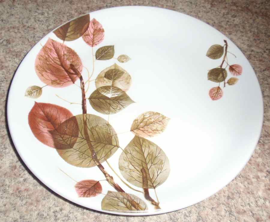 Longwood Dinner Plate by Alfred Meakin-1