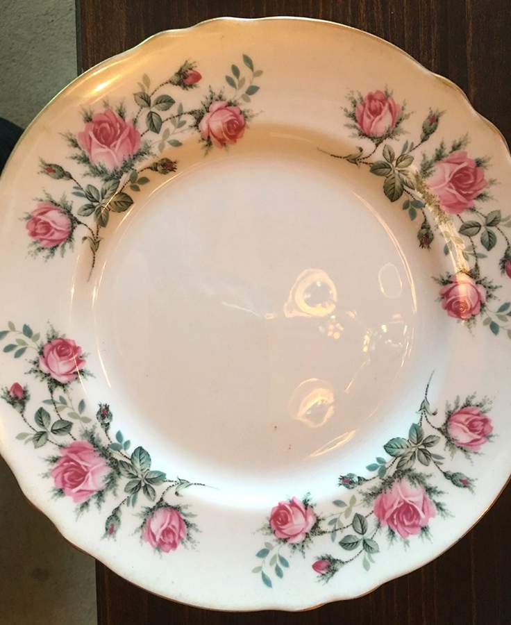 MJE4 Dinner Plate by Majestic Choice-1