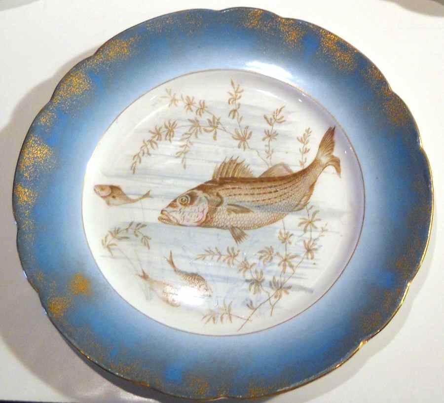 MAD239 Dinner Plate by John Maddock & Sons-1