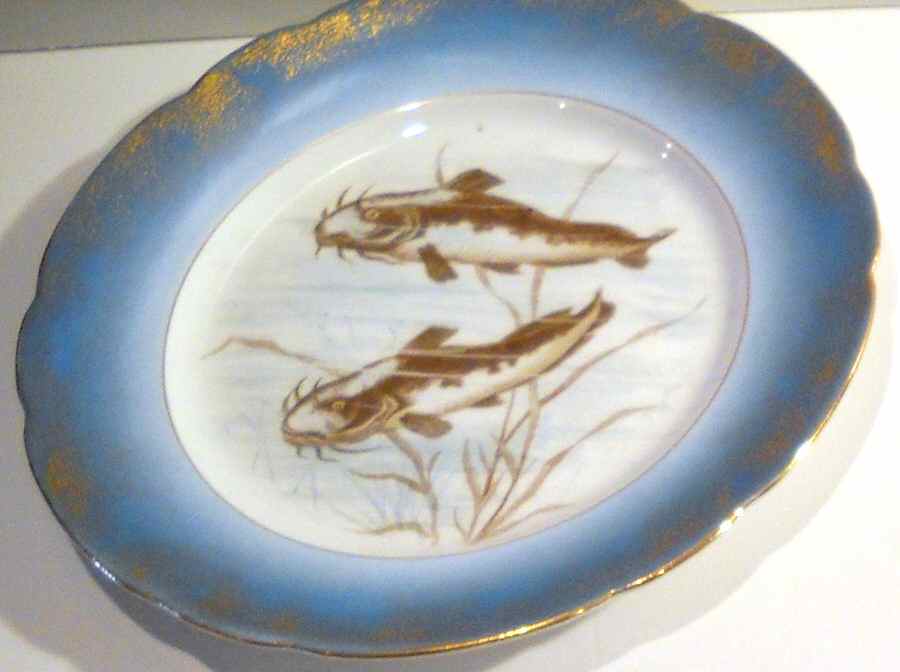 MAD239 Dinner Plate by John Maddock & Sons-1