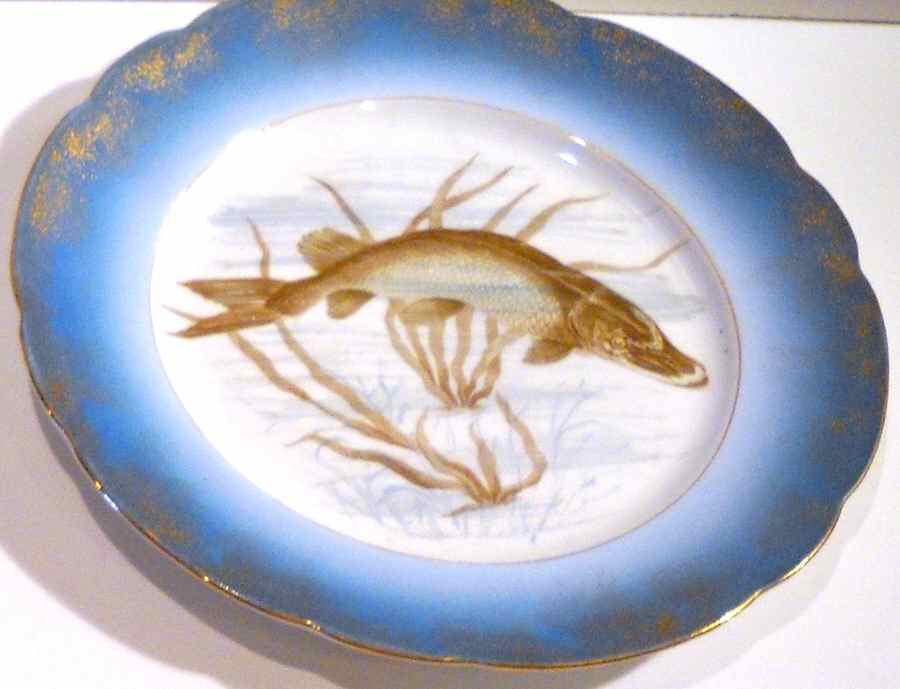 MAD239 Dinner Plate by John Maddock & Sons-1