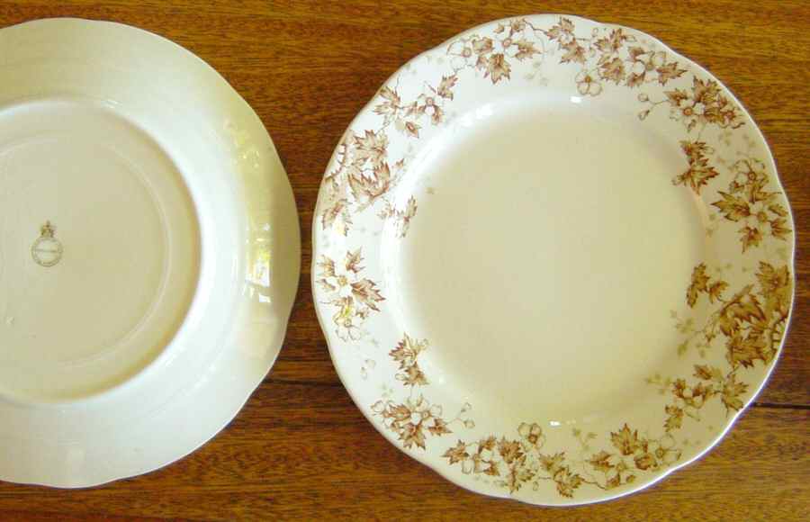 Oakland Brown (Scalloped, No Trim) Dinner Plate by John Maddock & Sons-1