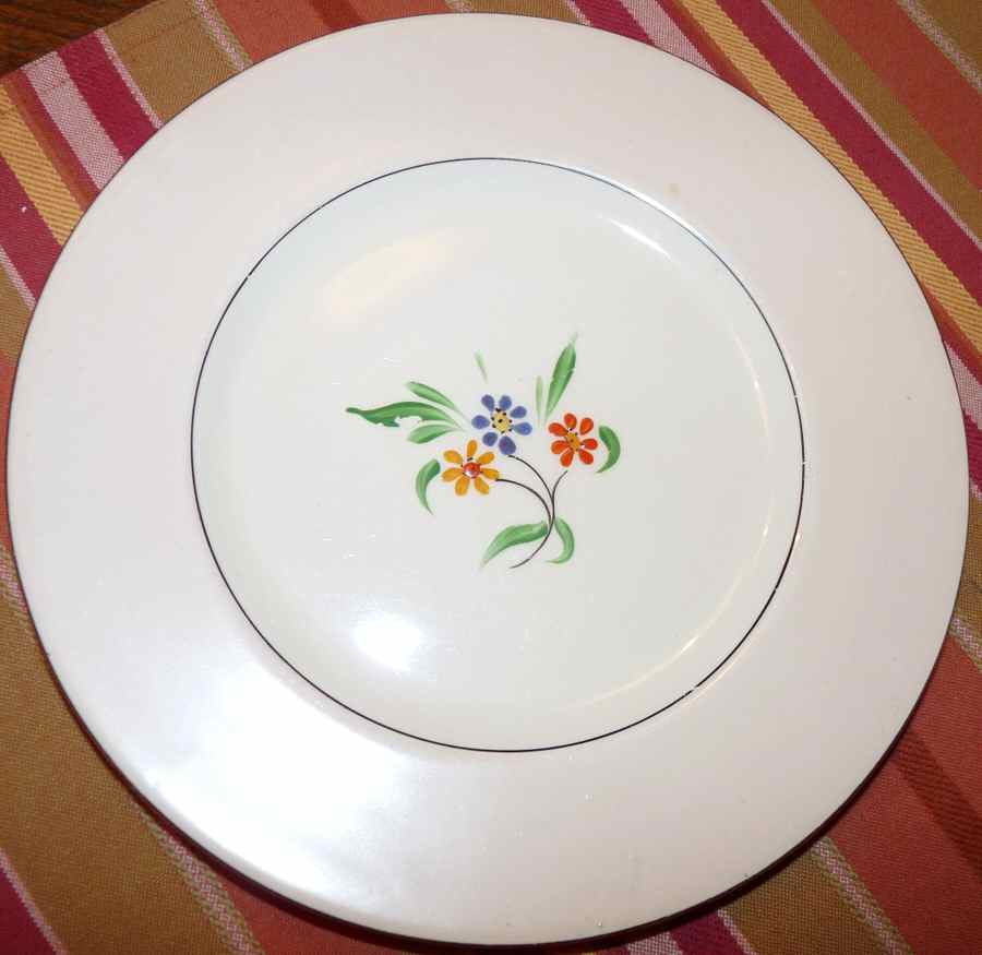 7713 Dinner Plate by Myott Staffordshire-1
