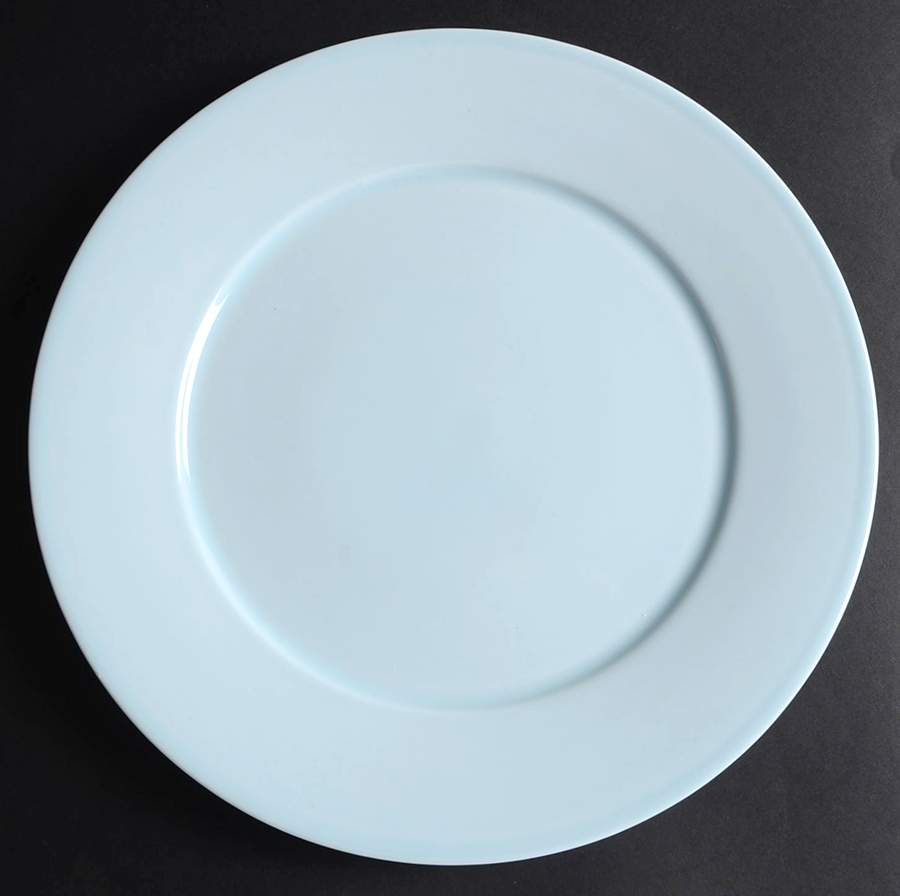 Skylands Blue Dinner Plate by Martha Stewart-1