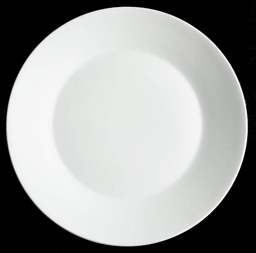 MEK320 Dinner Plate by J & G Meakin-1