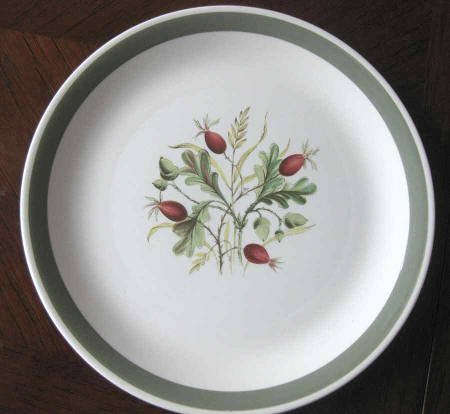 MEA372 Dinner Plate by Alfred Meakin-1