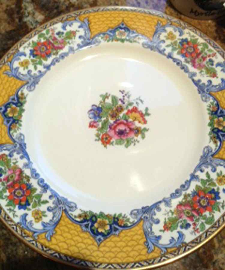 MYO159 Dinner Plate by Myott Staffordshire-1