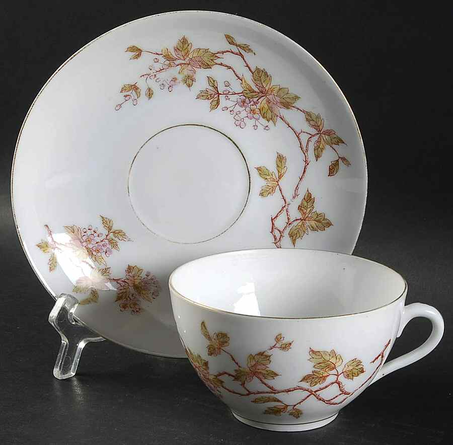 2433 Flat Cup & Saucer Set by Marx & Gutherz-1
