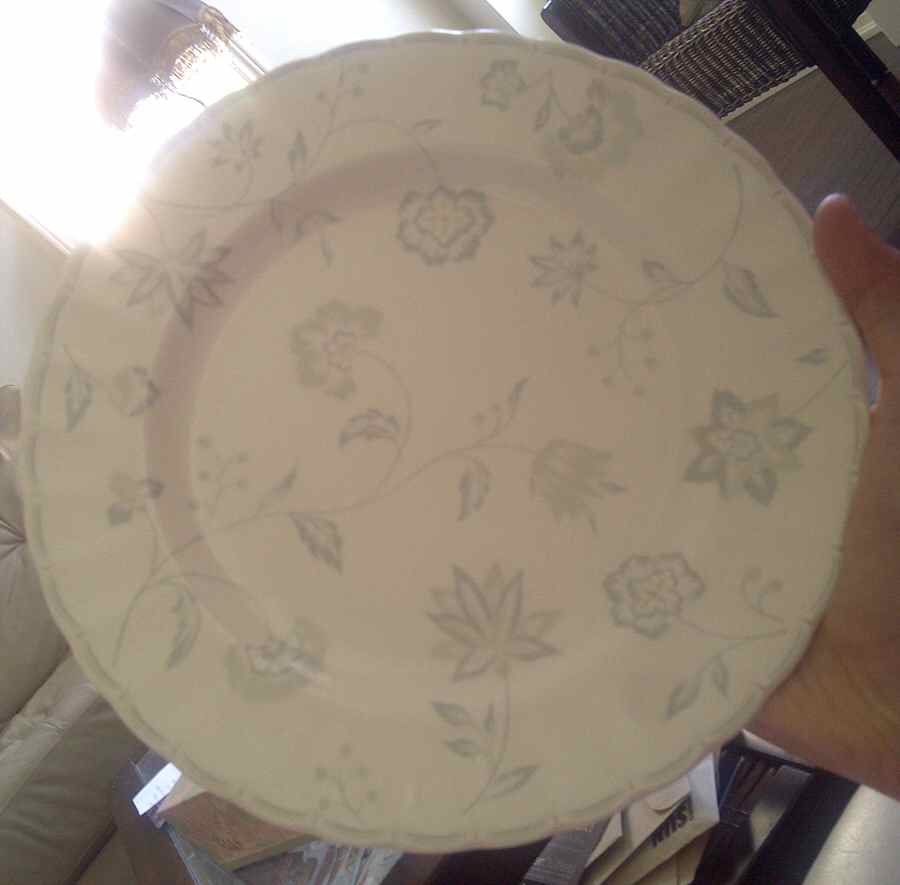 Parisian Silk Dinner Plate by Mikasa-1