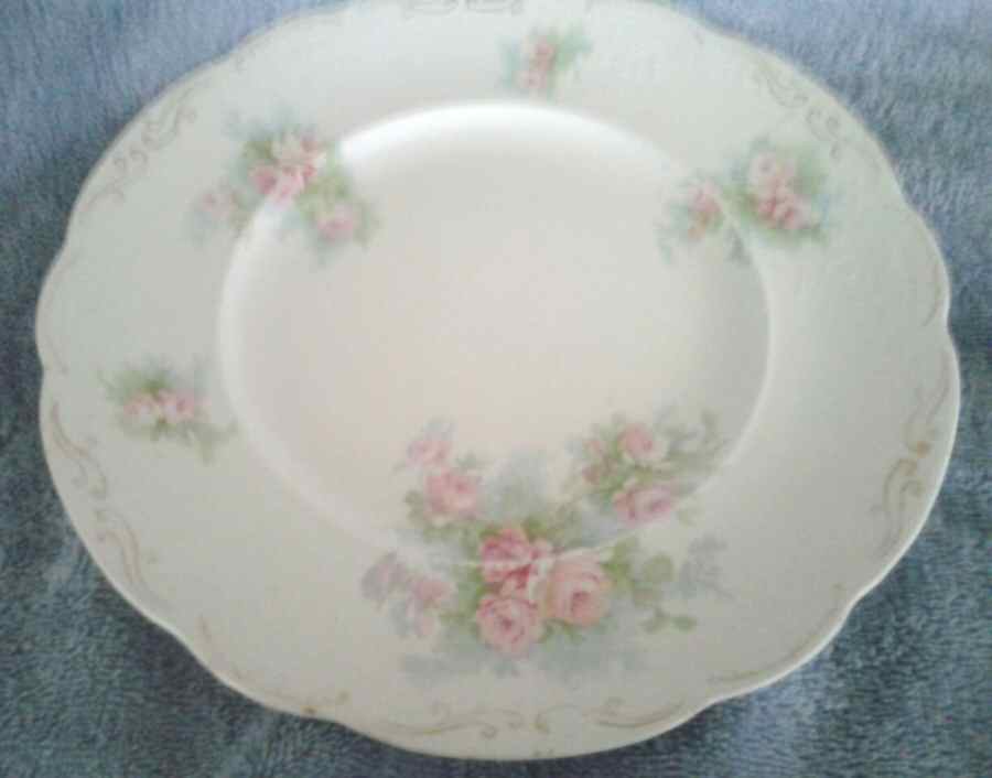 MEK328 Dinner Plate by J & G Meakin-1