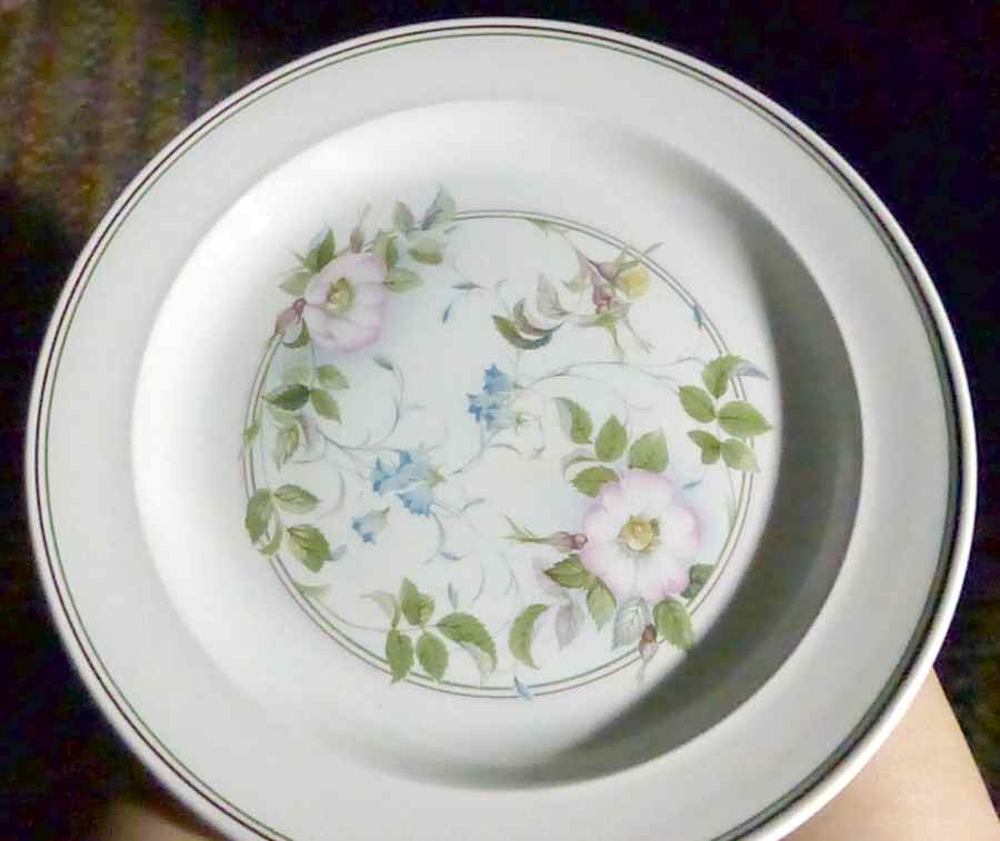 Morning Dew (White Ice) Dinner Plate by J & G Meakin-1