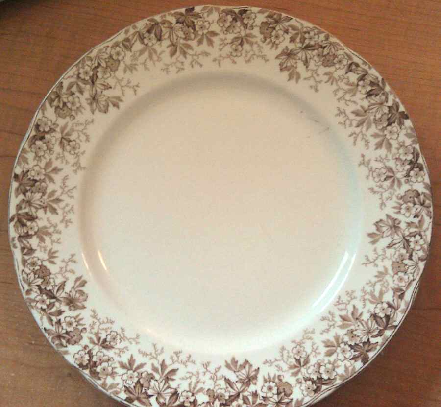 Lynn Brown Dinner Plate by Alfred Meakin-1