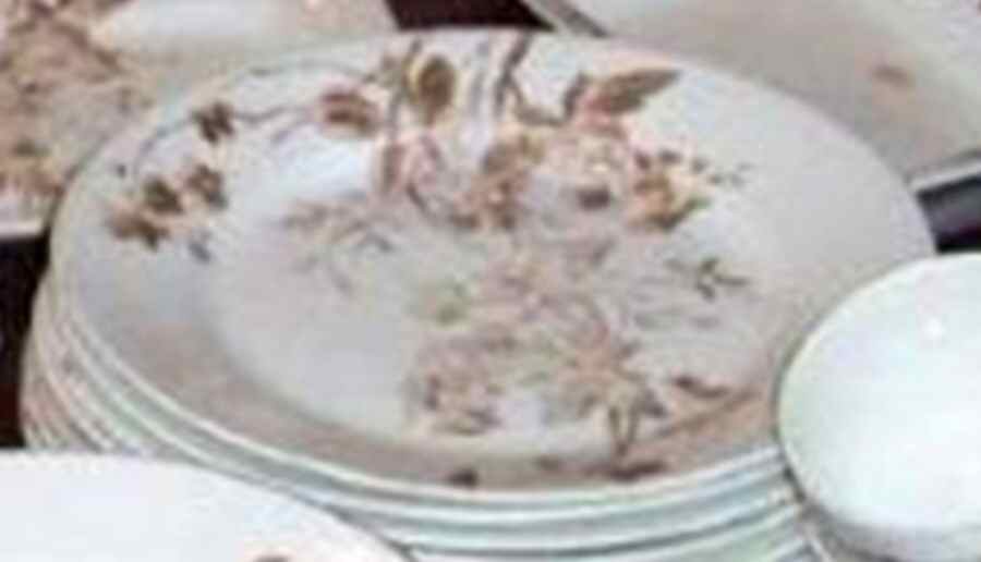 MAD252 Dinner Plate by John Maddock & Sons-1