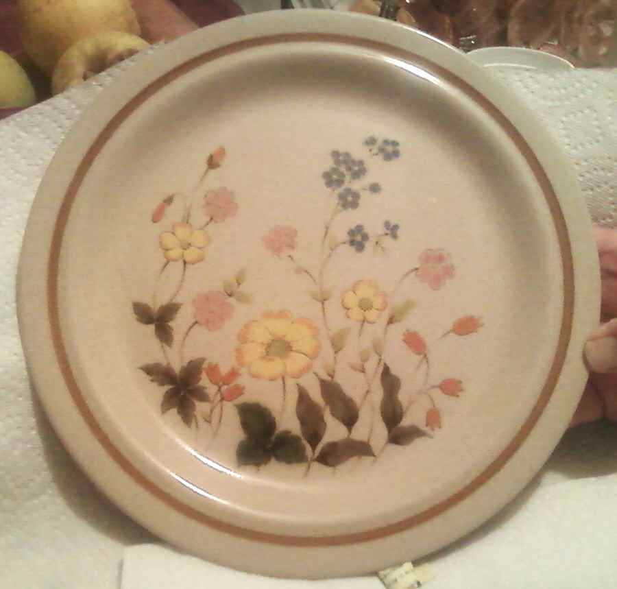 Playful Dinner Plate by Mikasa-1