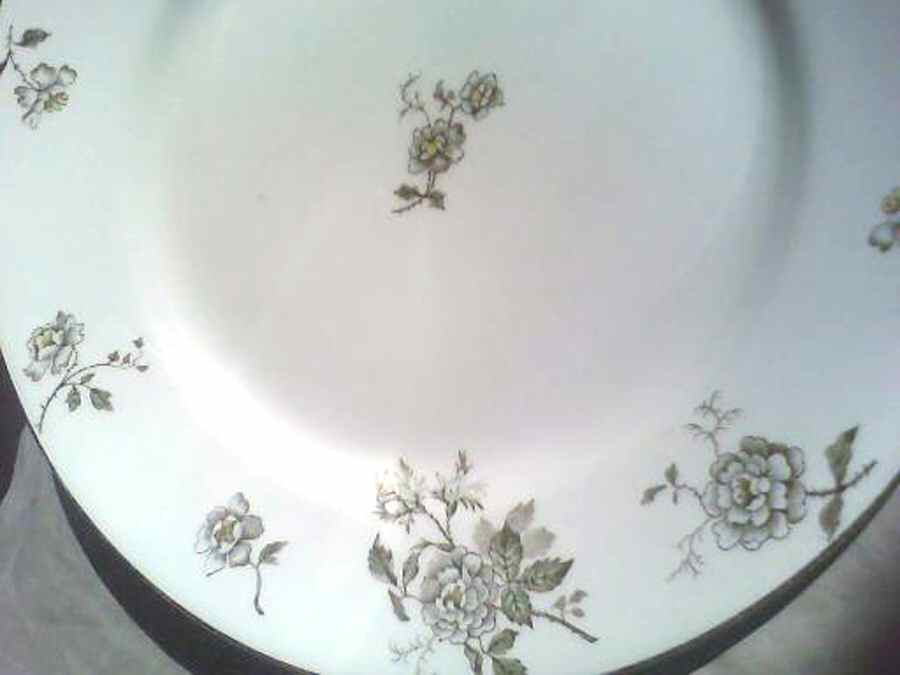 MAD255 Dinner Plate by John Maddock & Sons-1