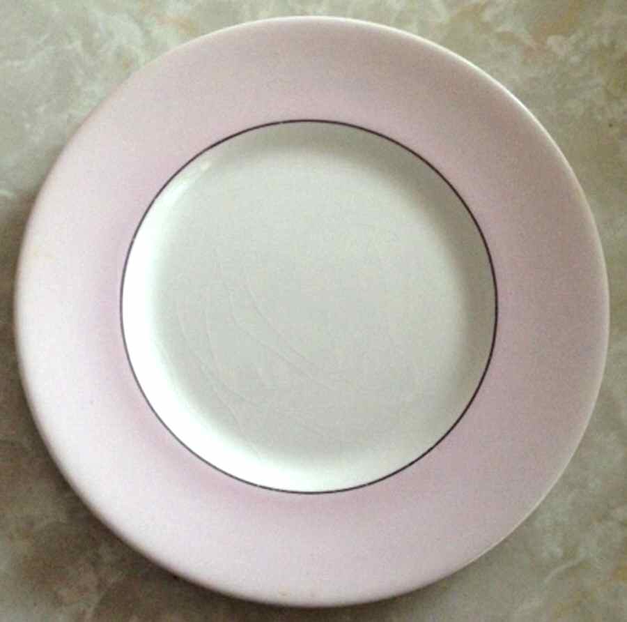 MYO164 Dinner Plate by Myott Staffordshire-1