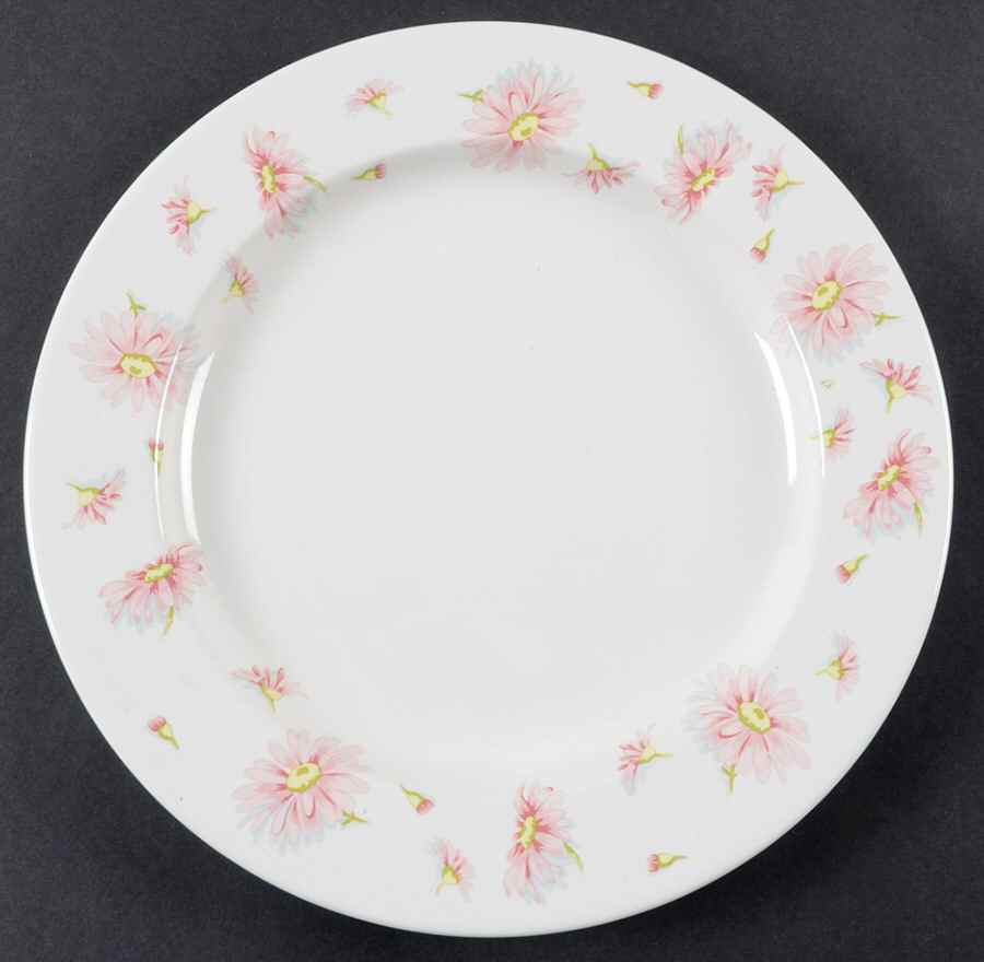 MTW40 Dinner Plate by Martha Stewart-1