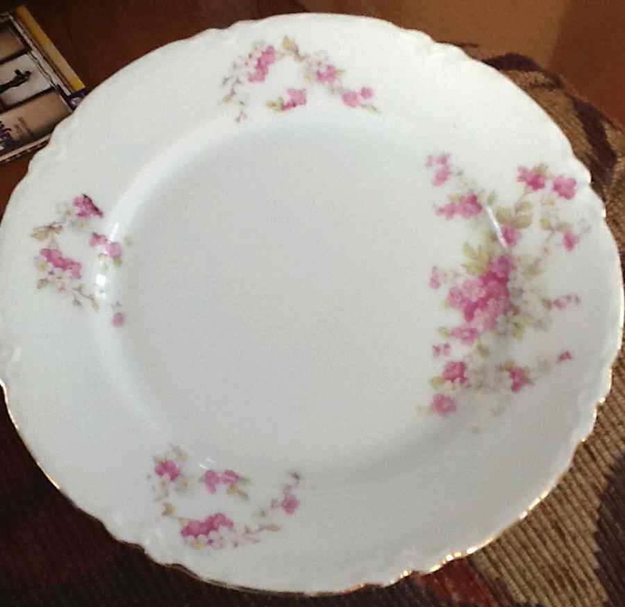 MOS40 Dinner Plate by Moschendorf-1