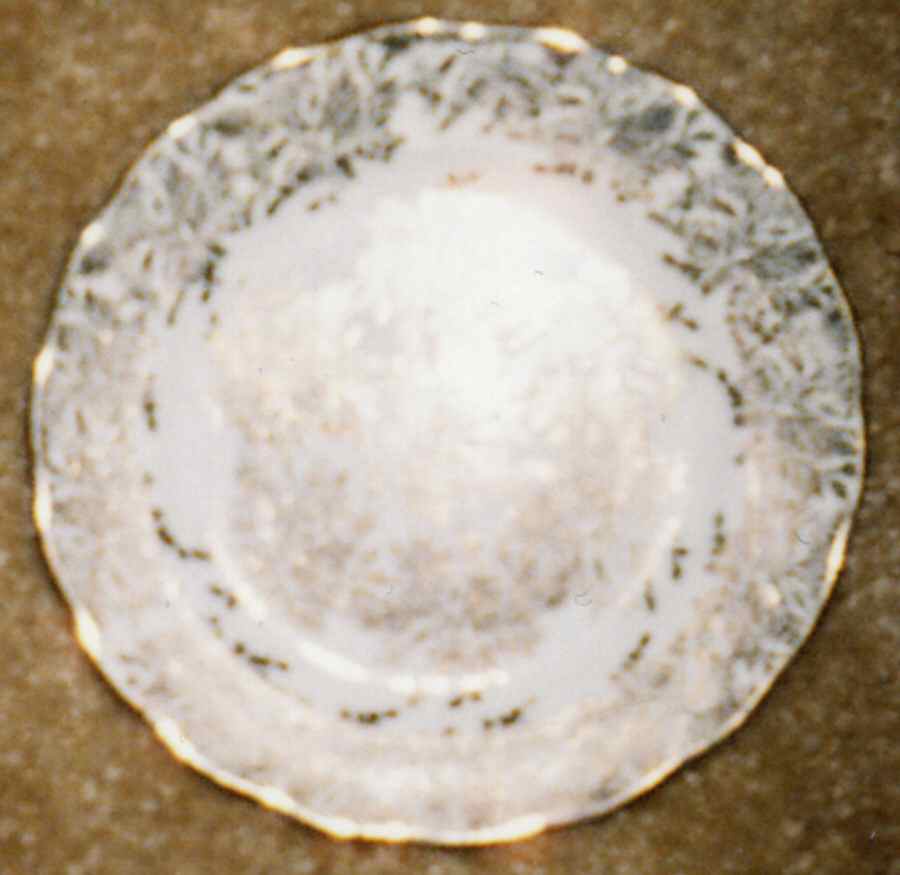 MEL44 Salad Plate by Melba-1