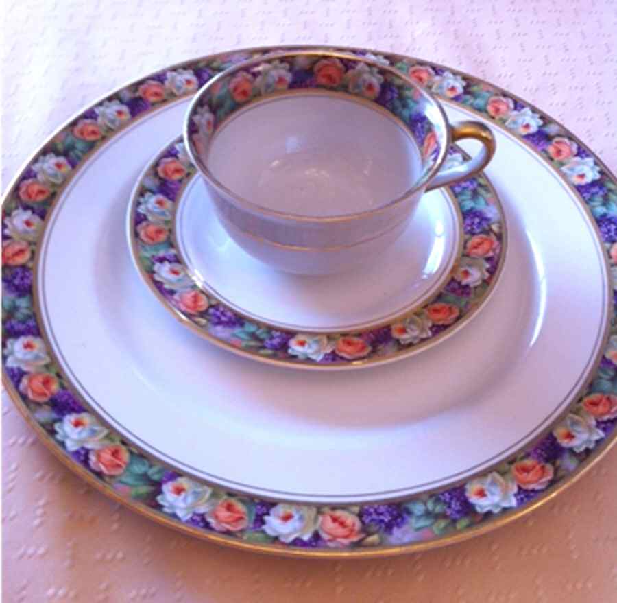 MYO166 Dinner Plate by Myott Staffordshire-1