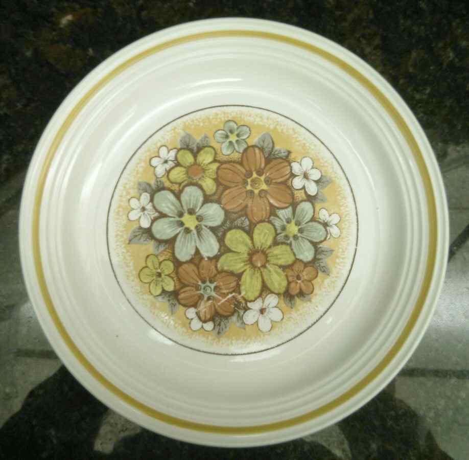 MYO167 Dinner Plate by Myott Staffordshire-1