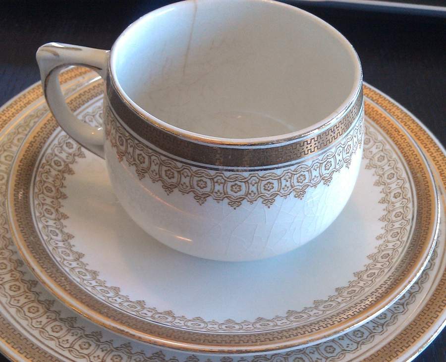 Elmwood Gold Footed Cup & Saucer Set by J & G Meakin-1
