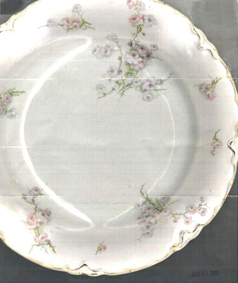 MEK337 Dinner Plate by J & G Meakin-1