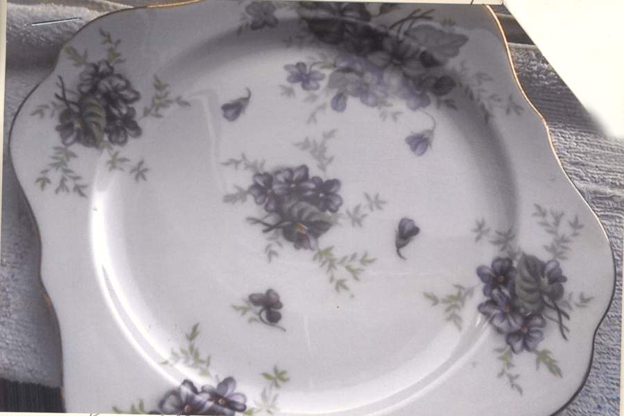 MEI1210 Square Salad Plate by Meito-1