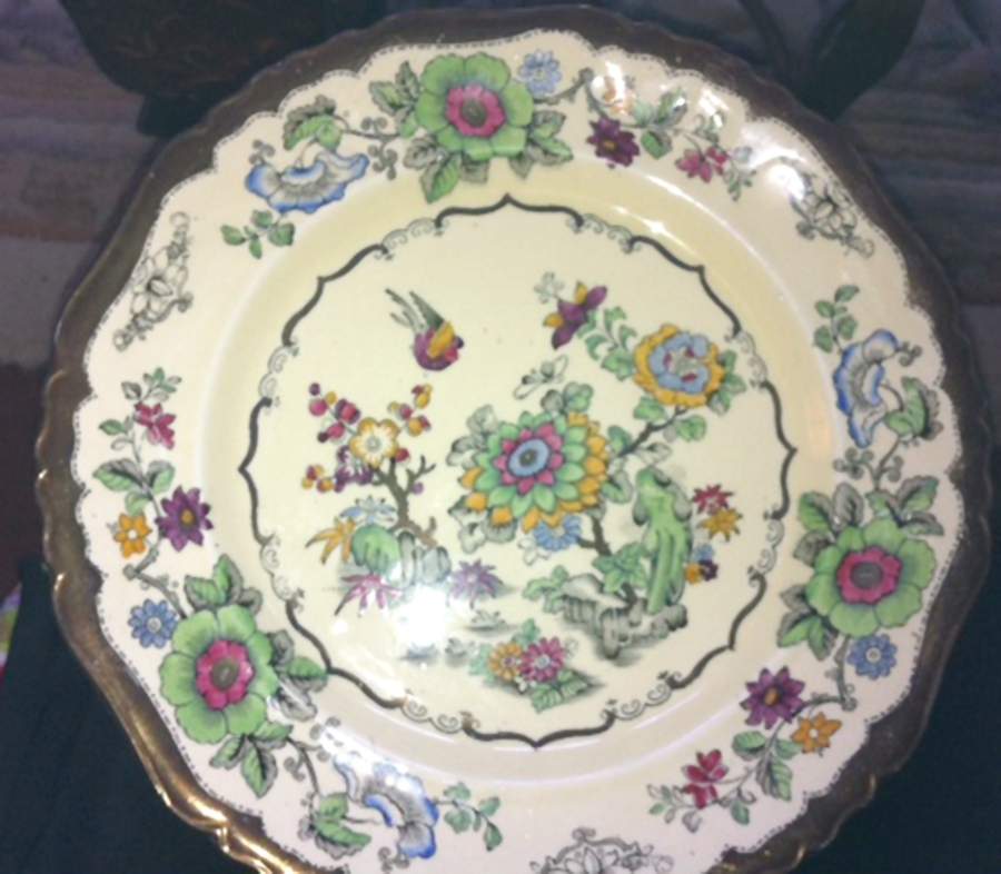C4145 Dinner Plate by Mason's-1