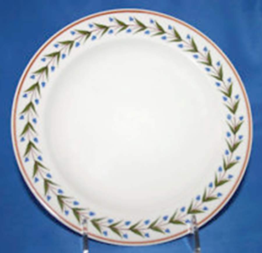 MTW42 Dinner Plate by Martha Stewart-1