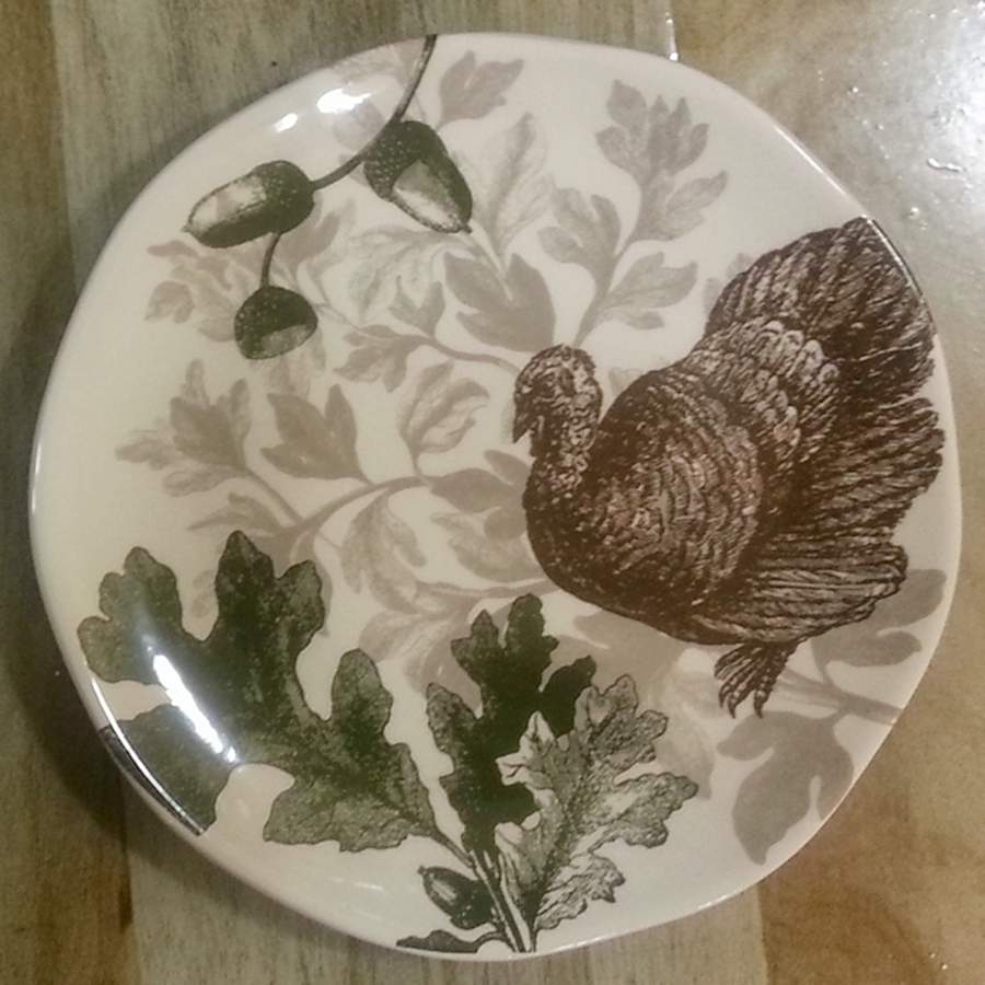 M2G1 Salad Plate by Magenta-1