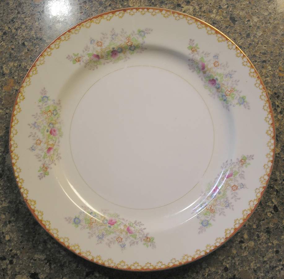 MSJ26 Dinner Plate by MS (Japan)-1