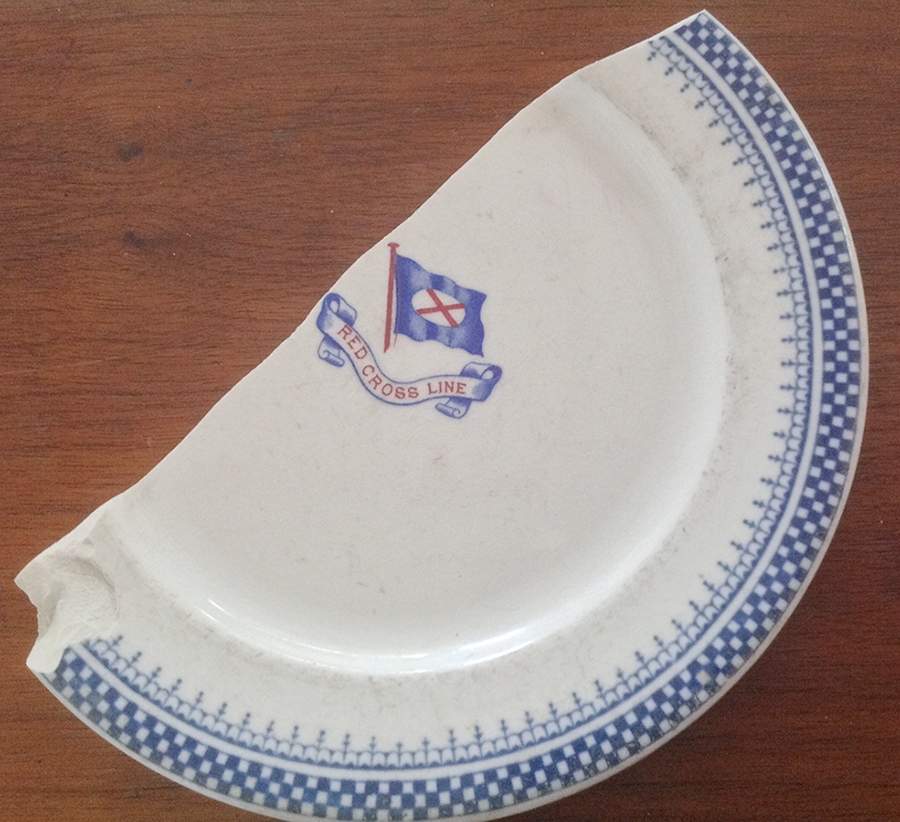 Red Cross Line Dinner Plate by John Maddock & Sons-1