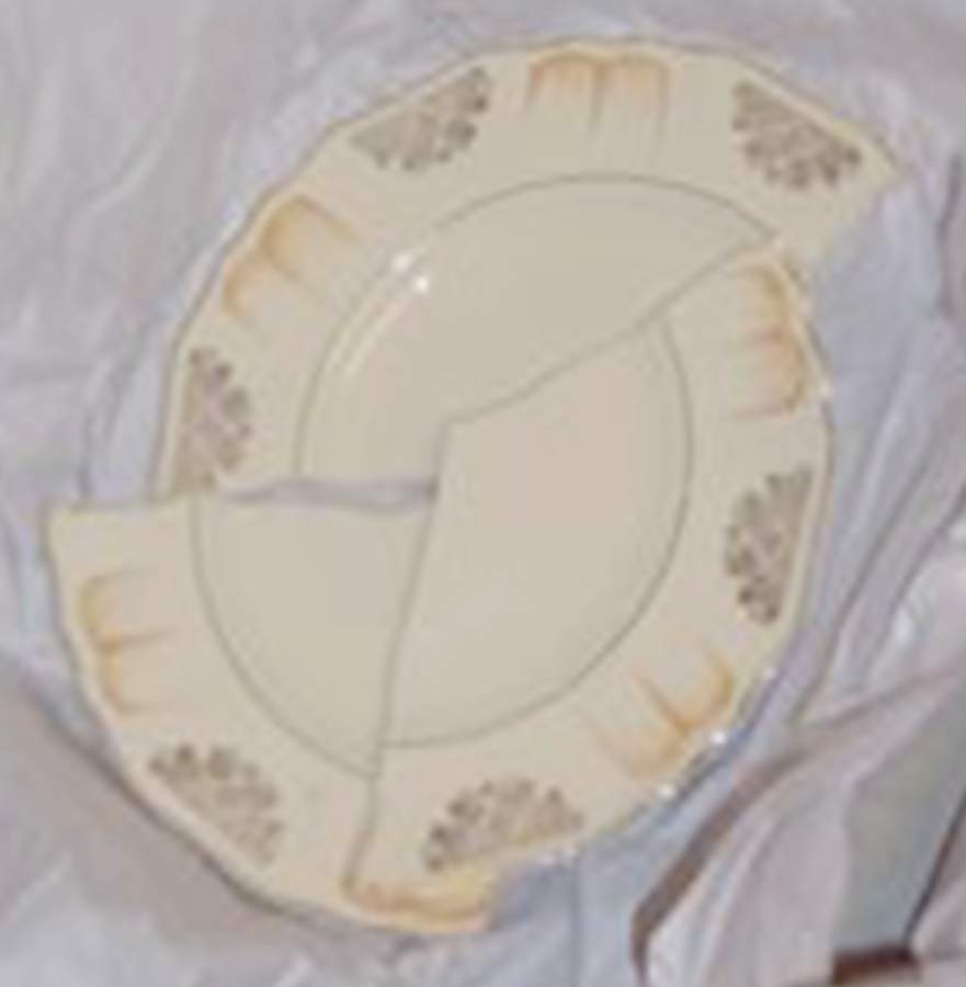 MEK311 Dinner Plate by J & G Meakin-1