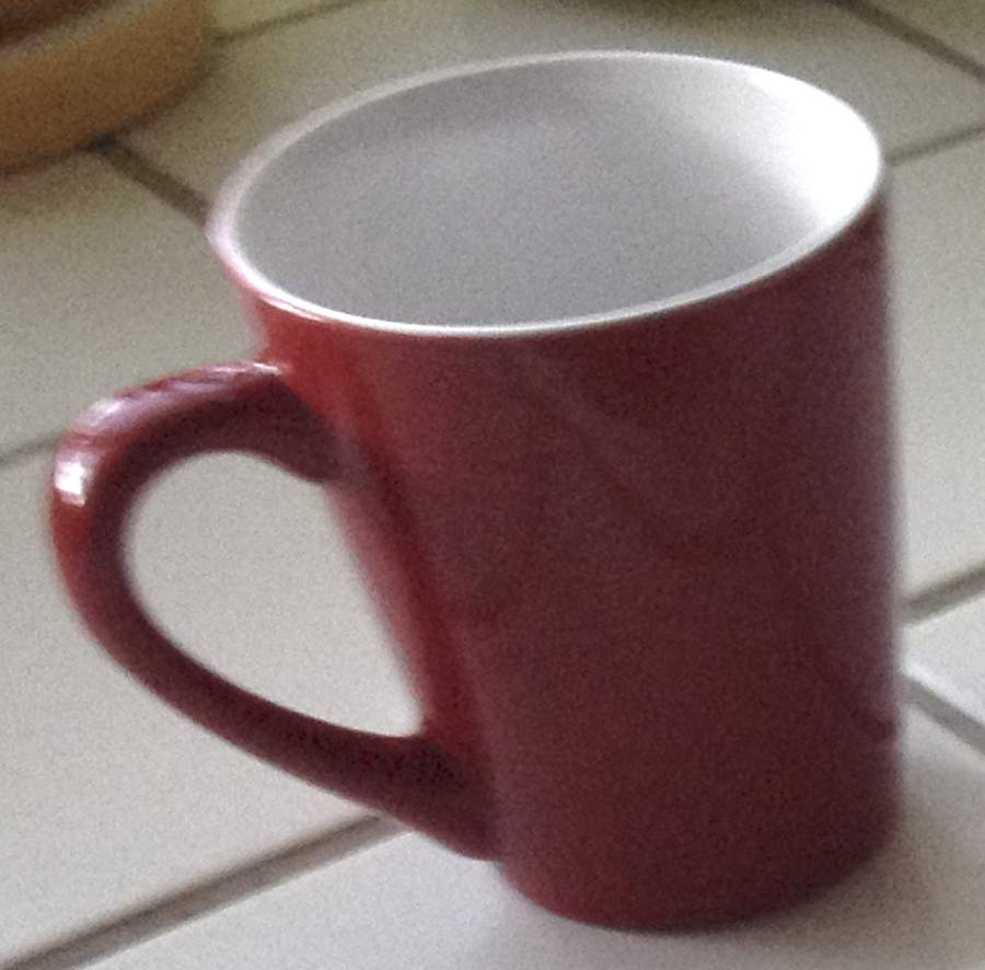 Hunter Mug by Mikasa-1