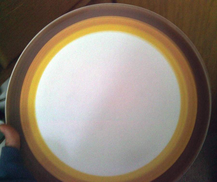 Osage Orange Dinner Plate by Mikasa-1