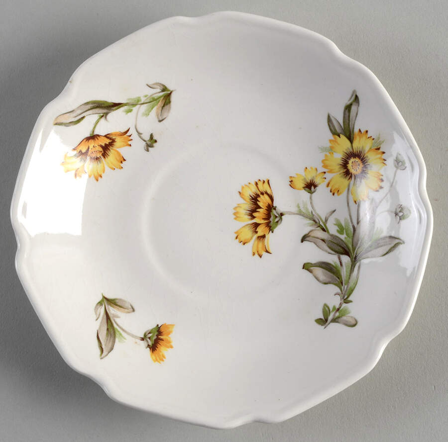 Indian Blanket Saucer by Mount Clemens-1